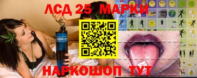 молекула духа Камышлов
