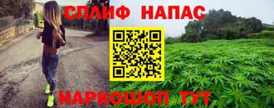 молекула духа Камышлов