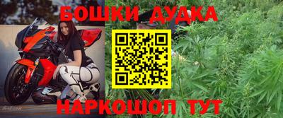молекула духа Камышлов