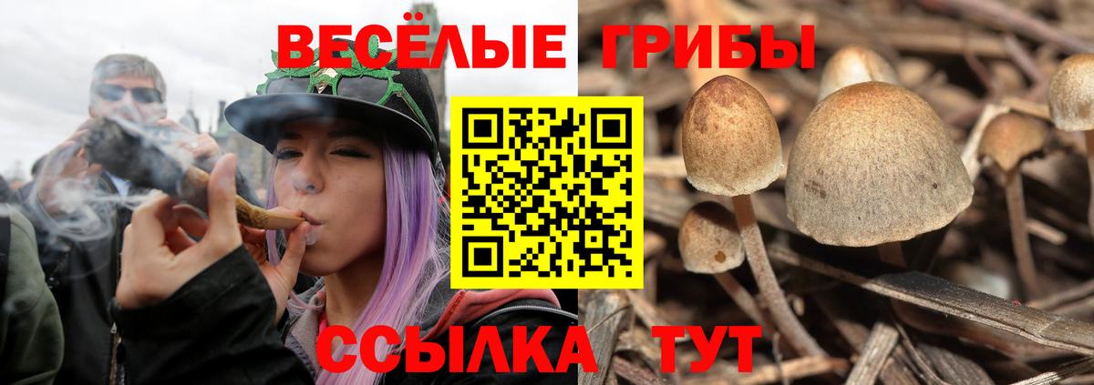 Галлюциногенные грибы Psilocybine cubensis  Вход с VPN  Кушва 